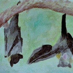 Time To Get @ Fish - Snake(by Simple Light)