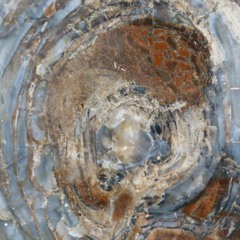 Acid Mass - In The Alcove There's A Phone Nobody Knows About (Body Antoinette Remix)