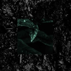 ~ DARK LEAVES