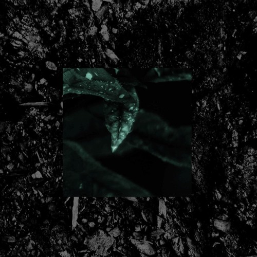 ~ DARK LEAVES