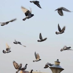 Tih /MarchRemix 2016/