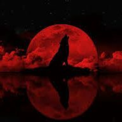Raised By Wolves - Falling In Reverse
