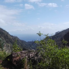 Climb The Mountain, Search The Sea