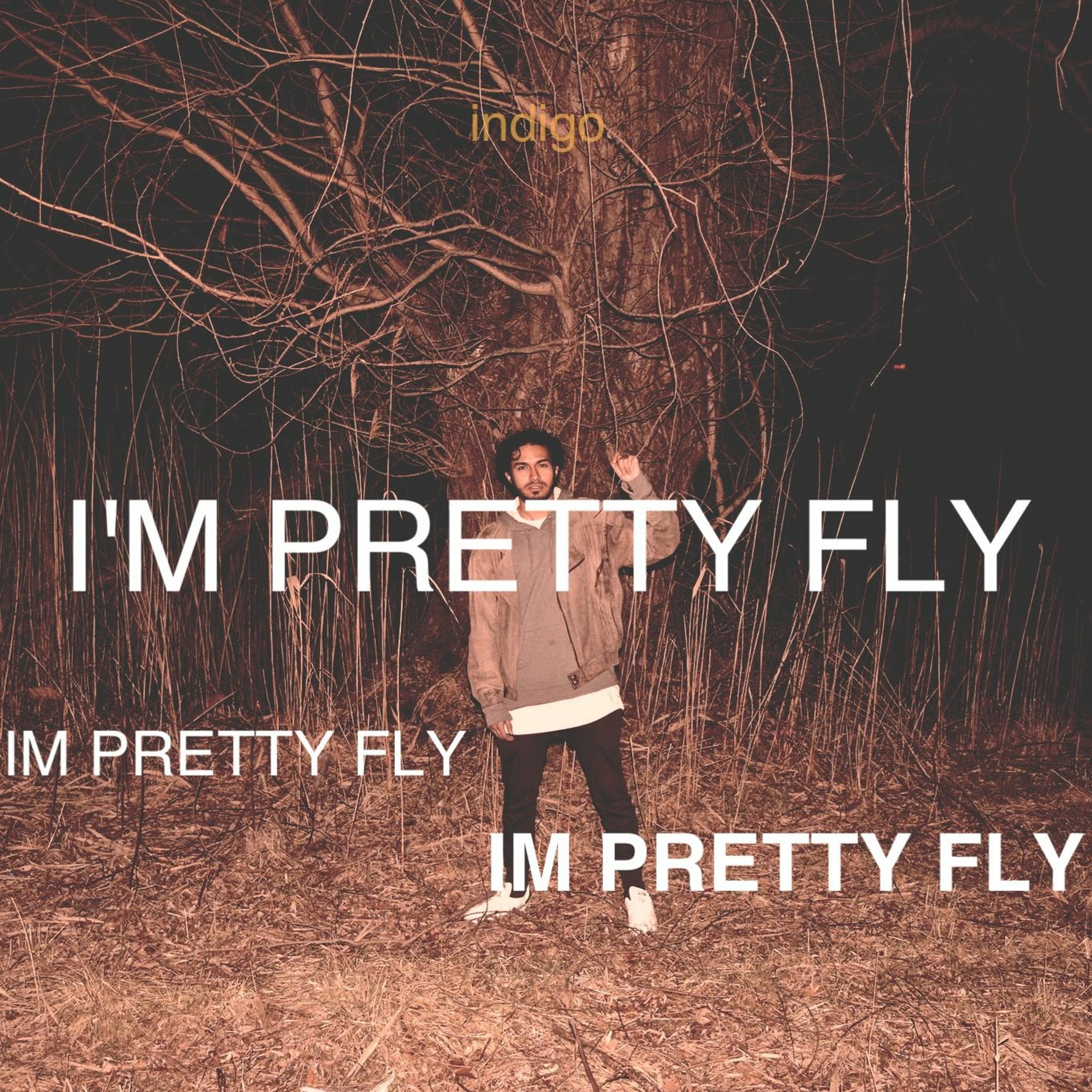 I'M PRETTY FLY (PROD. J. INDIGO) episode artwork