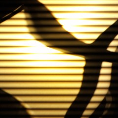 The Past Is A Bending Mirror
