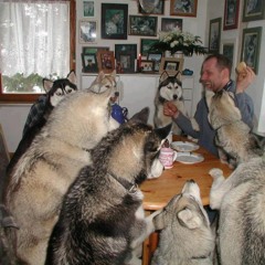 Dream Pop/Jangle Pop/Psych Pop (January-February 2016) Playlist