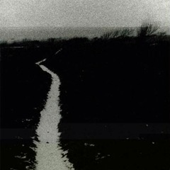11xxx27 - Son Of Contaminated Land