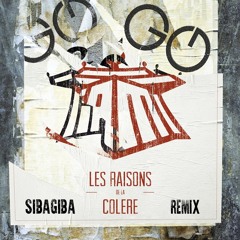 Les Raisons De La Colère (SibaGiba Remix)