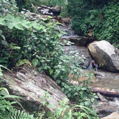 Love Yourself Remix (version 1): G-Dummy