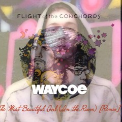 The Most Beautiful Girl (In the Room) - Flight of the Conchords [Waycoe Remix]