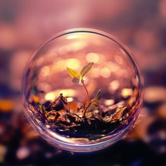 Eres El Mismo - Westfire Records