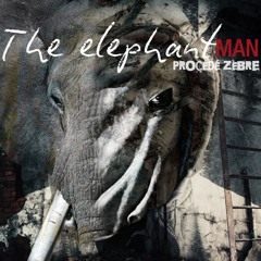 Marylise Frecheville - Albert est Romeo