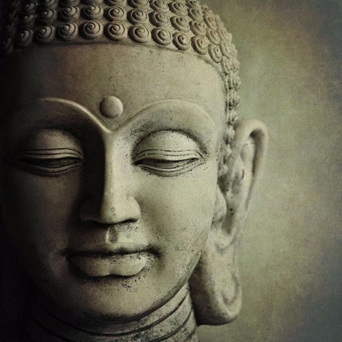 Buddha Trails