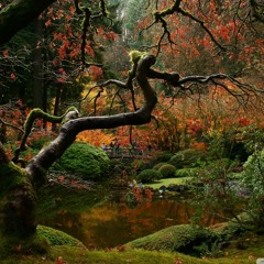 TAKEMITSU - My Way Of Life (fragment)