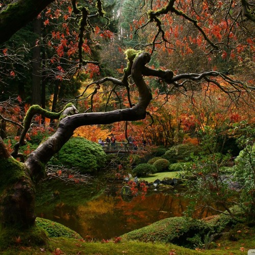 TAKEMITSU - My Way Of Life (fragment)