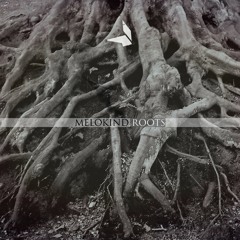 IDM/ambient 1