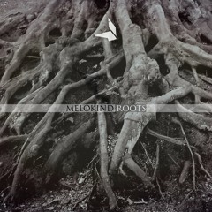 Melokind - The Forester (Original Mix)