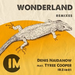 Denis Naidanow - Wonderland Feat. Tyree Cooper (DJ Linus Remix)