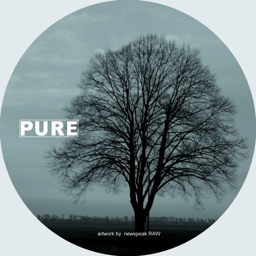 B2 - PURE 006 - schelf - Bellatrix (Orion Remix) (snippet)