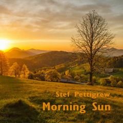 Morning Sun