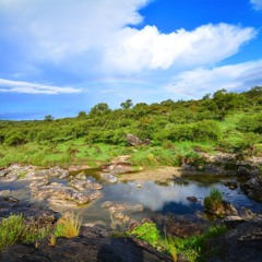 Kiirtan 'Flowing Love'