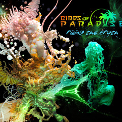 Birds of Paradise with Robert Rich - Aural Reef [PREMIERE]