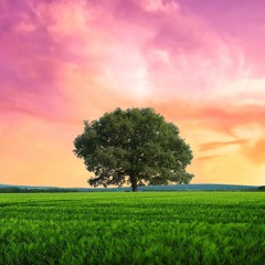 Undaunted Dreams