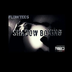 FlowTecs - Shadow Boxing Assault