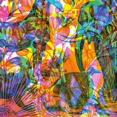 Exotic Hypnotik - Ohmzone & Pleja