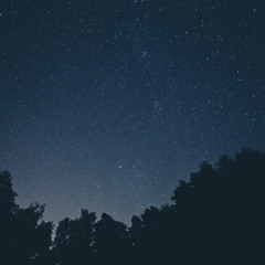 Nights