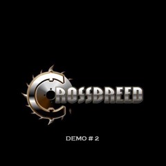 dnb & dubz (crossbreed)+ jump up & neurofunk