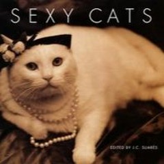 Bando Jonez - Sex You (PYR0's Cashy Cat R&B - 2-Jersey Edit)