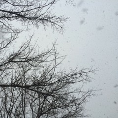 It's Snowing Petals & Cotton
