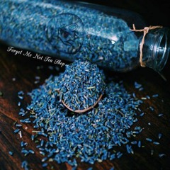 芊芊 - 回音哥 (Thiên Thiên - Hồi Âm Ca)