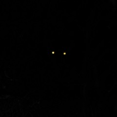 Children In Limbo - First Circle [Buy for FREE DOWNLOAD]