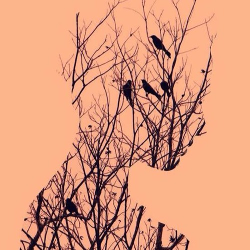 执迷 - 许多葵 (Chấp niệm - Hứa Đa Quỳ)