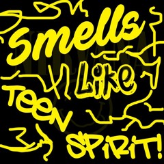 zaki ro - Smells Like Teen Spirit.