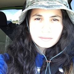 BeamerBenzBently (Remix)