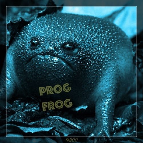 Prog Frog