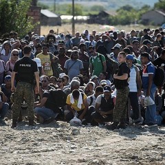 Крупнейший лагерь для беженцев во французском Кале. Репортаж Радио Вести