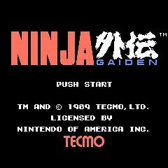 Ninja Gaiden - Ryu's Determination