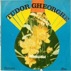 Tudor Gheorghe - Primavara 1989