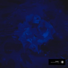 Eusebeia - Only Concerned With The Truth EP