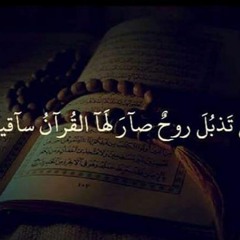 دعاء الانبياء  صلاح الجمل