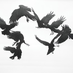 Crows Assemble