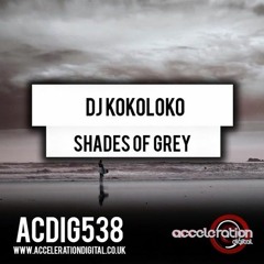 DJ Kokoloko - Shades Of Grey (on sale 3 march)