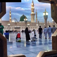 Tell Me About Love - Emotional - Shaykh Hamza Yusuf