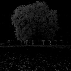 Under The Setting Sun