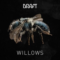 Draft - Willows