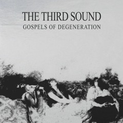 The Third Sound (Featuring Tess Parks) - You Are Not Here